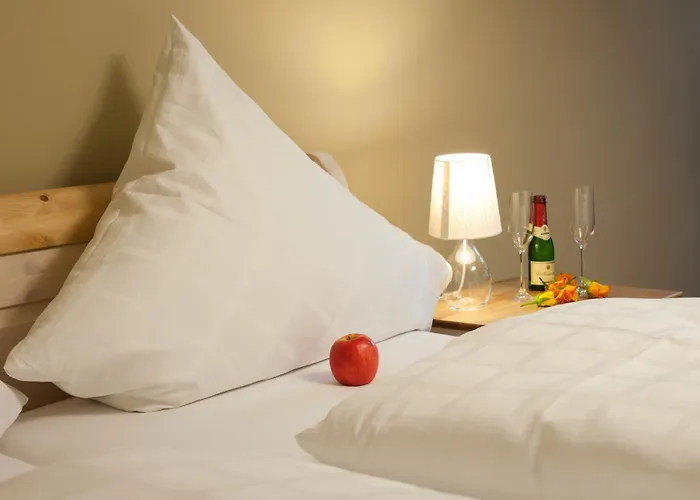 Apartment Schlaf-gut Appartments *